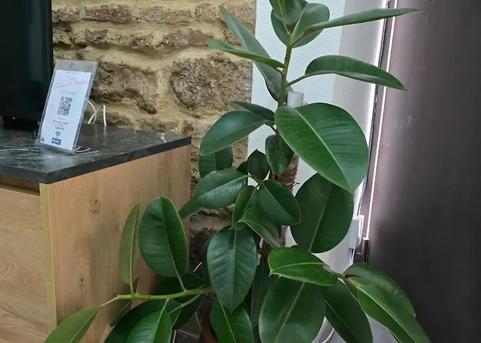 Carmen De Austria House * Cordoba