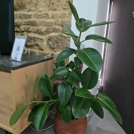 Carmen De Austria House * 科爾多瓦