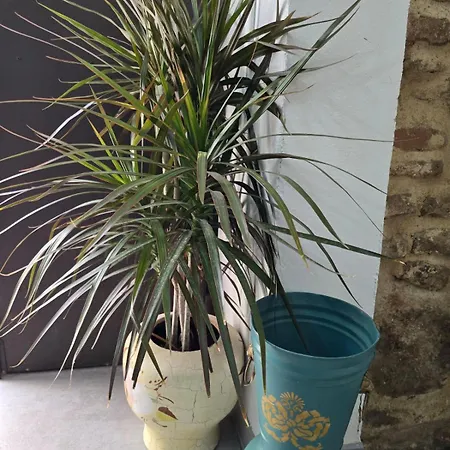 Carmen De Austria House * Cordoba