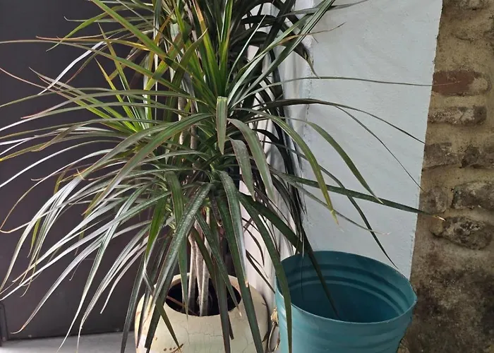 Carmen De Austria House * Cordoba